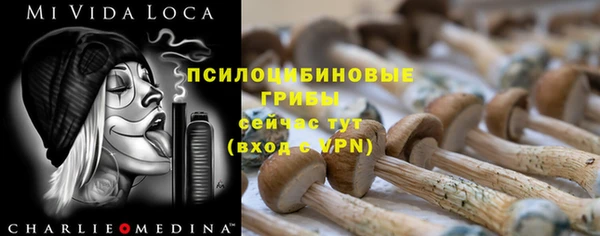 ECSTASY Вязьма