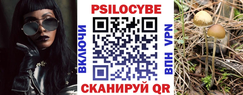 как найти закладки  Гаджиево  Псилоцибиновые грибы Magic Shrooms 